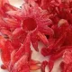 Kandírozott hibiszkuszvirág 2x500 g (1kg)