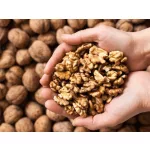 Dióbél, tisztított 500 g