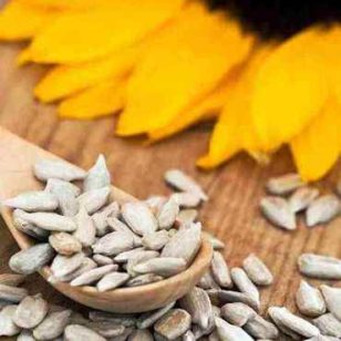 Napraforgómag, hántolt 500 g