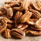 Pekándió natúr (Vajas és Elegáns) 500 g - Magzsola prémium