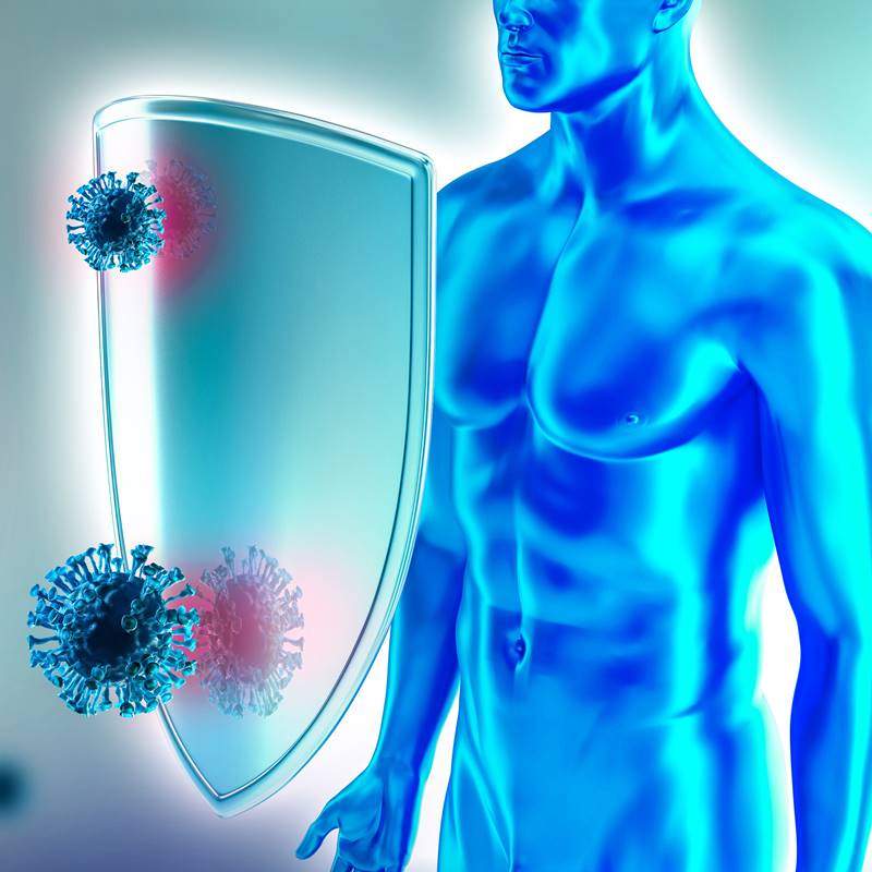 Rendbe hozható az immunrendszerünk?