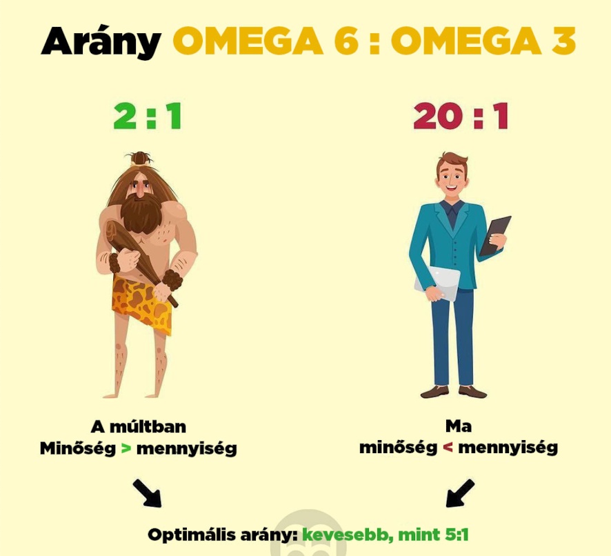 Omega3, és omega 6 aránya, régen és most