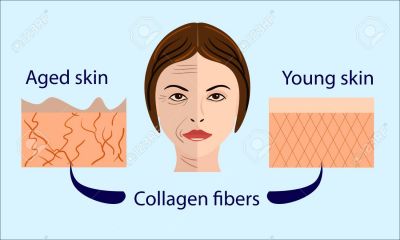 kollagén, collagen,magas kollagén tartalmú kapszula - magzsola.hu